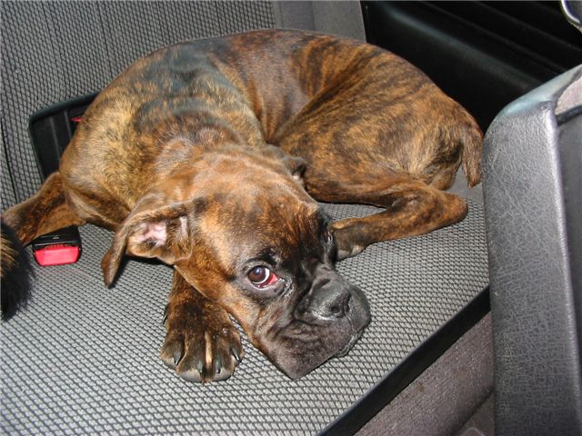are we there yet?