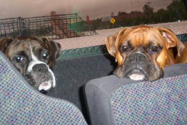 "Are we there yet?"