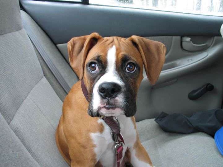 Are we there yet?