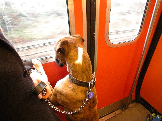 Are we there yet?