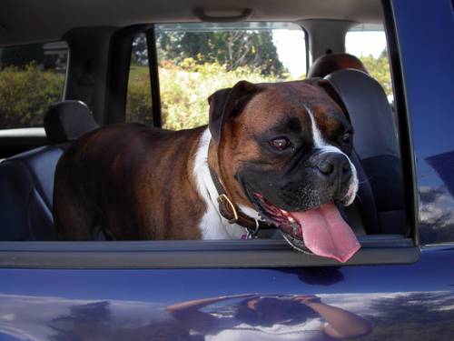 Are we there yet