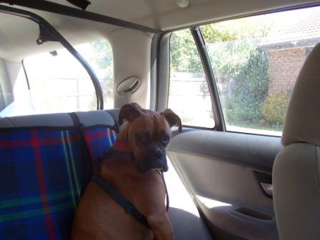 Are We There Yet?