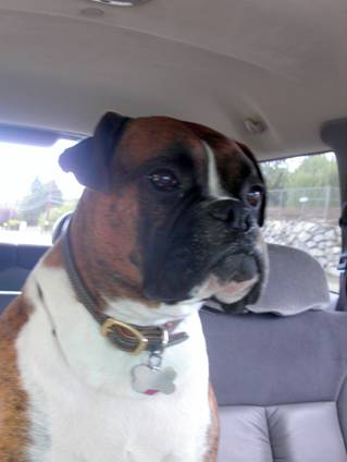 Are we there yet?