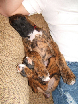 Are you comfortable, Rocky?