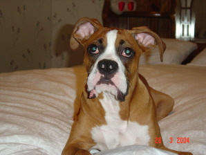 Are you going to bed yet?
