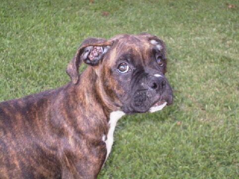 Are you going to throw that ball or what?