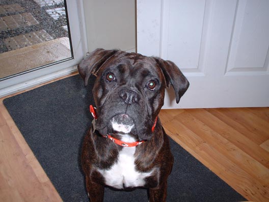 "Are you gonna give that treat now or what?"