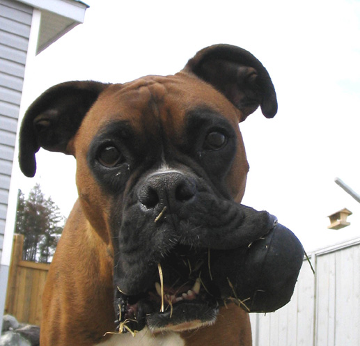 Are you lookin at ME?