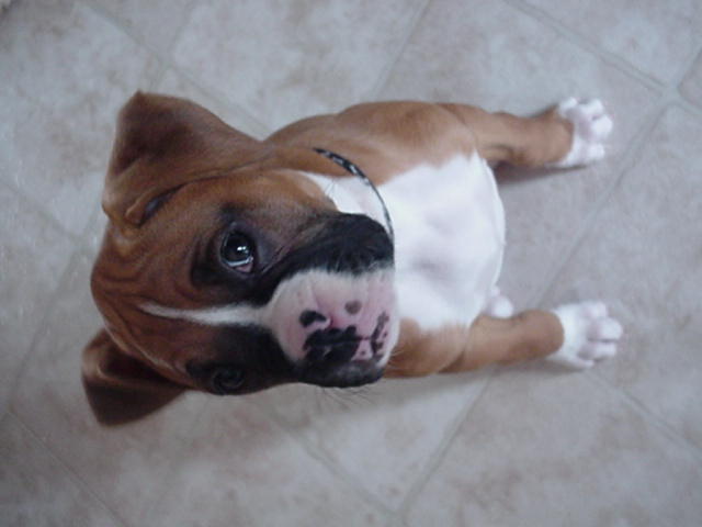 Are you looking at me ???