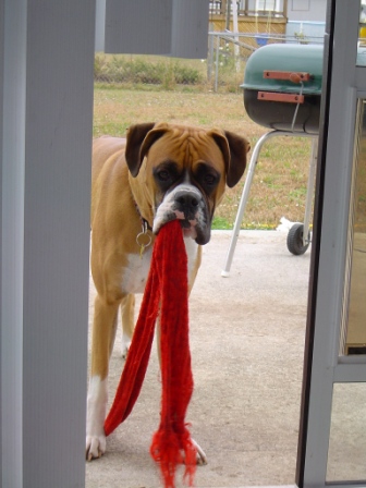 are you looking for this??