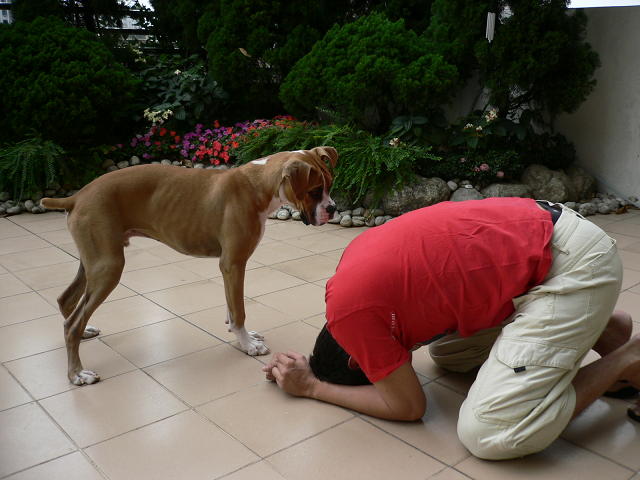 Are you ok daddy????