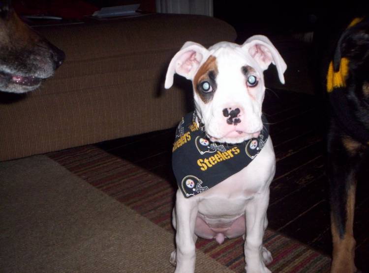 Are you ready for some Football!??