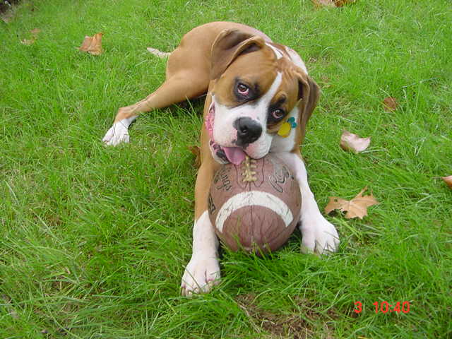 Are you ready for some football?