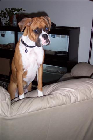 Are you ready to play now?