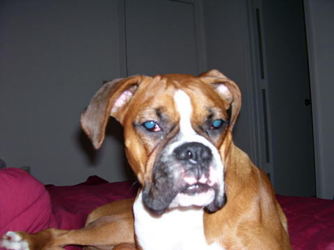 Aren't I adorable??