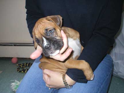 Aren't I cute?