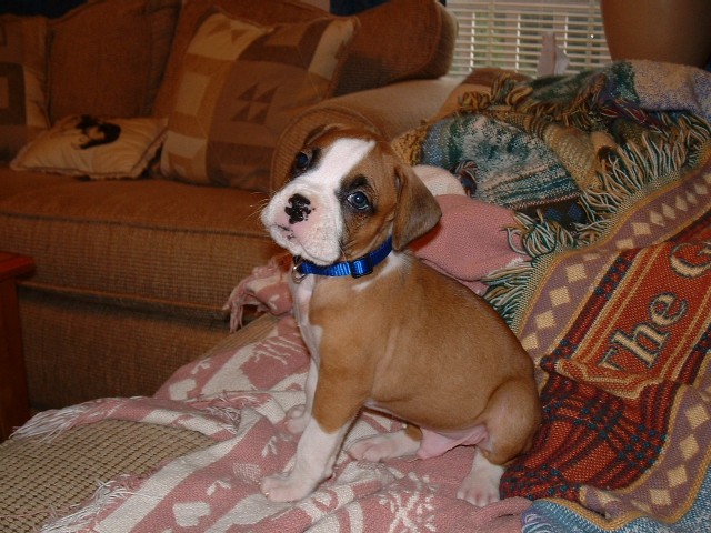 Aren't I cute?