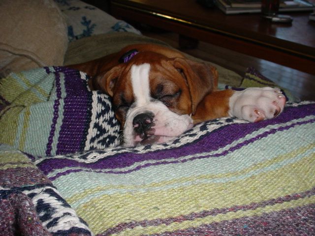 Aren't I cute