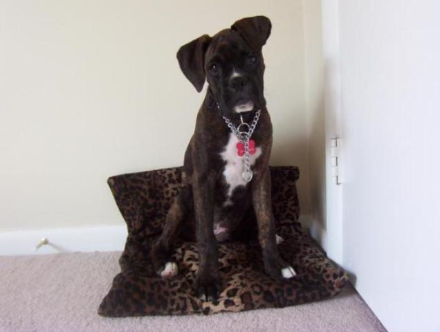 Aren't I cute!