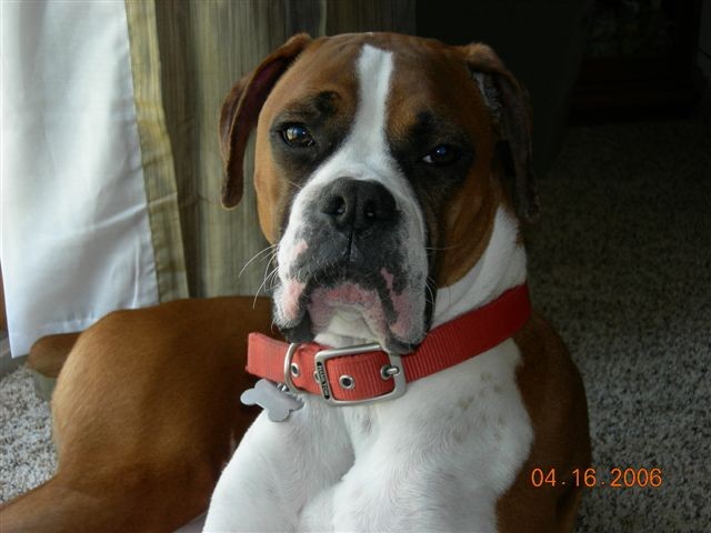 Aren't I handsome?