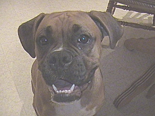 Aren't I pretty?
