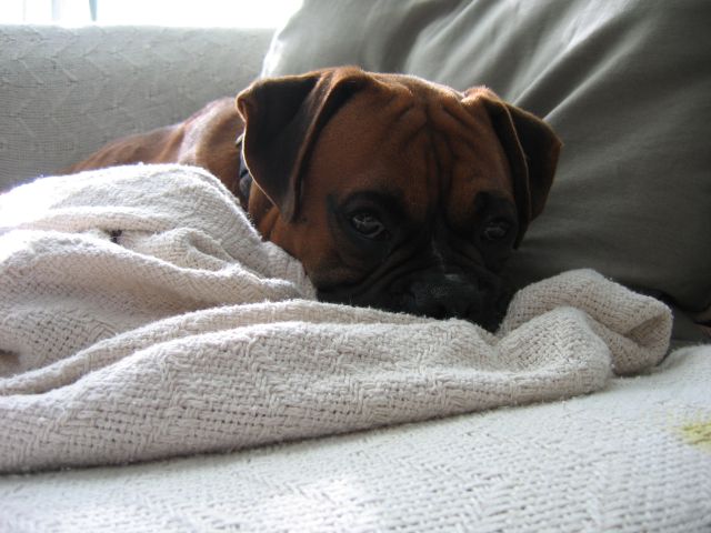 Aren't I sweet?