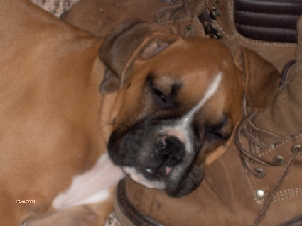 Aren't they so cute when they are sleeping!