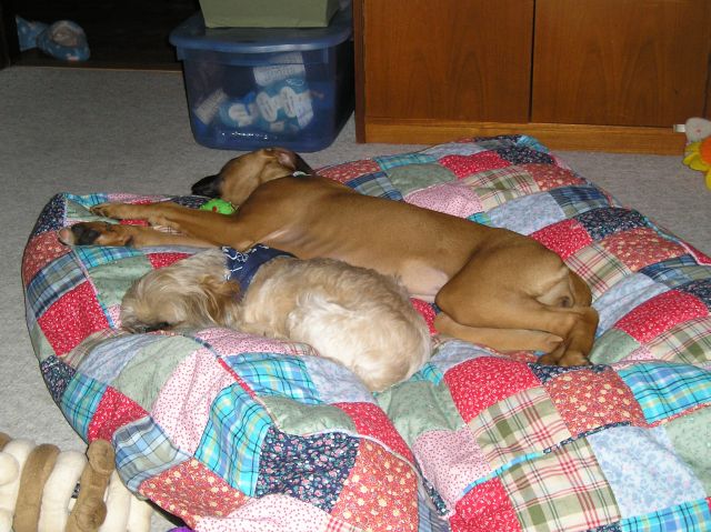 aren't they sweet