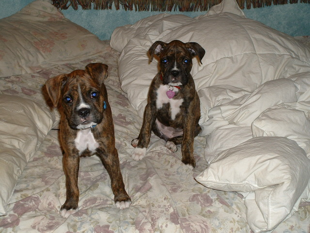 Aren't we cute?