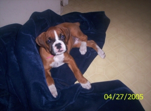 ares 9 weeks