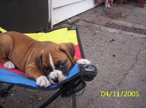 Ares April 11,2005