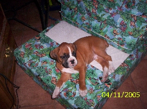 Ares April 11,2005