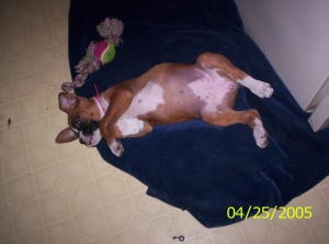Ares being goofy