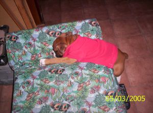 Ares had a hard day