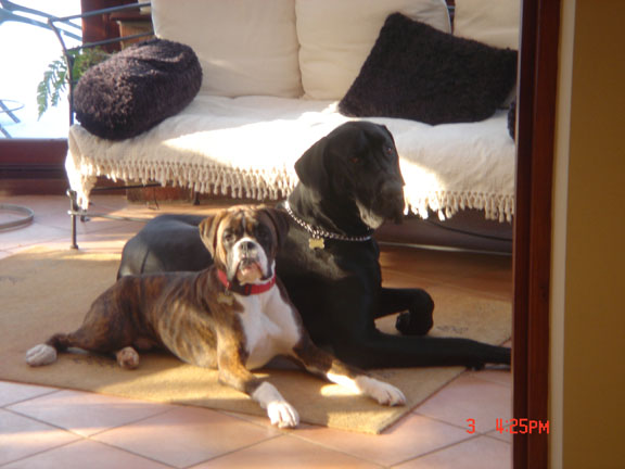 Arfur and Marlowe the Dane