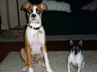 Aries and Zeus