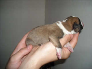 Aries The day he was born.