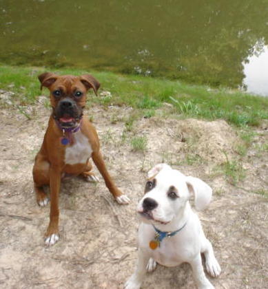 Arkansas at the pond...