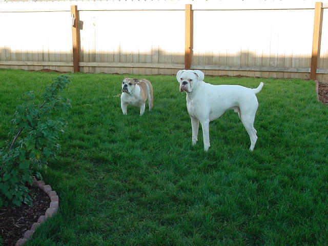 Arley and Emma