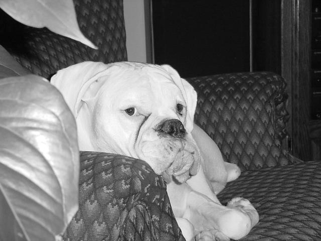 Arley James Hanging Out