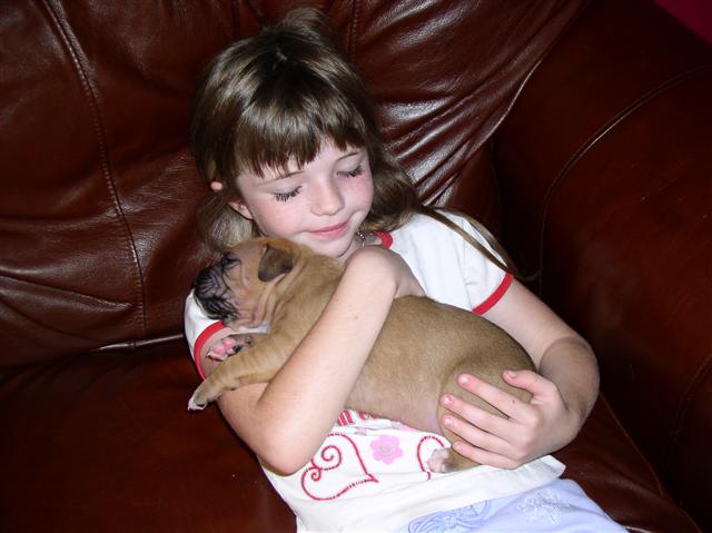Armfull of puppie