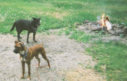 Around the Fire