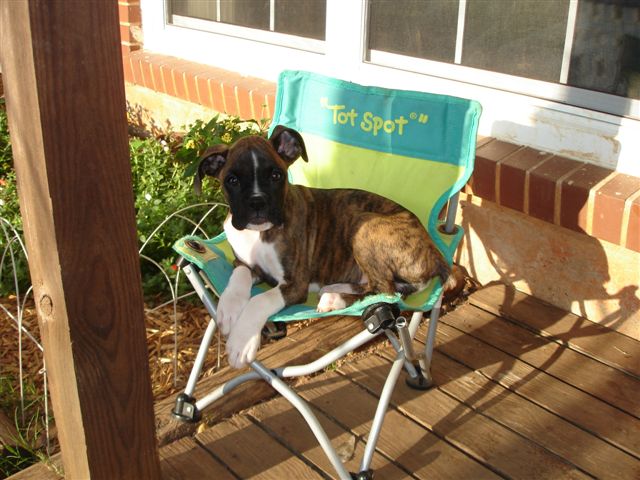 Arwen (3 months)