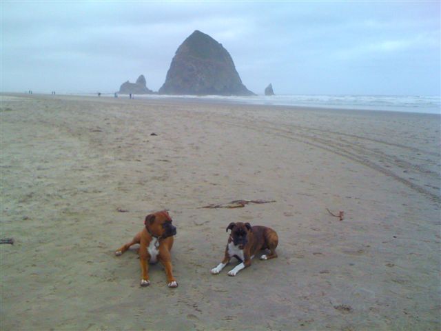 Arwen and Elvis