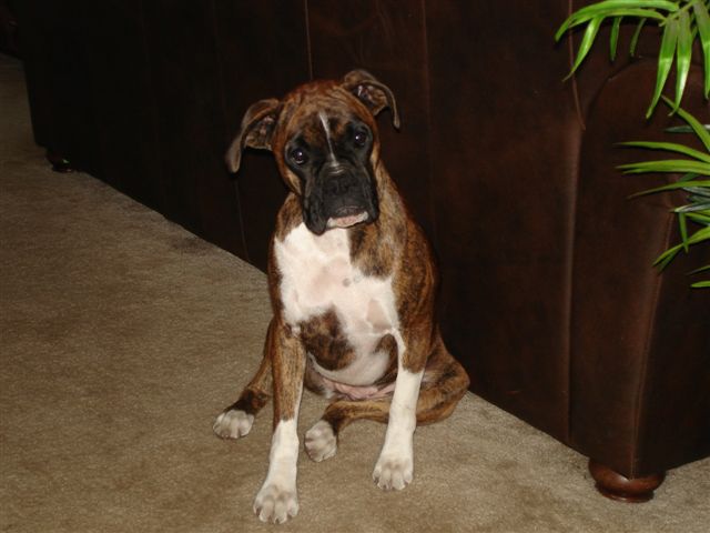 Arwen July 2008
