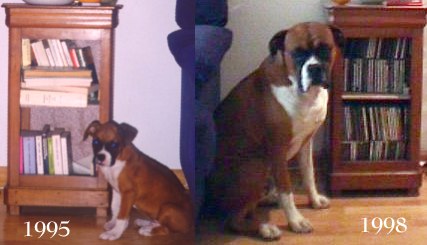 Asac How they can change!!