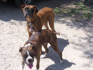 Asher and Emmitt