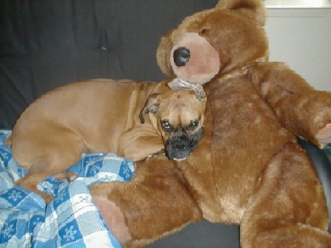 asia and her bear