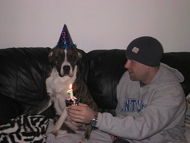 Asia's B-DAy