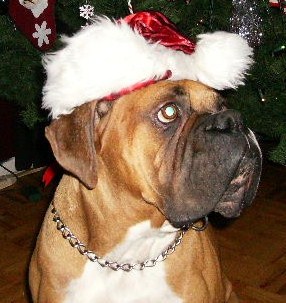 Askum Christmas 09
